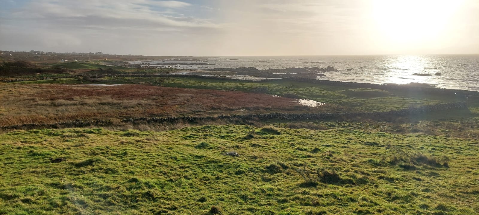 Connemara coastal landscape